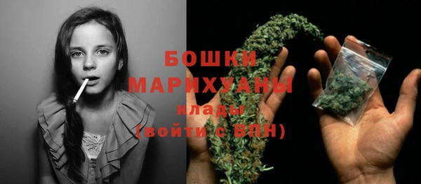 PSILOCYBIN Баксан